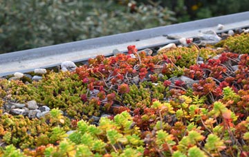 the cost of Strangways green roof installation